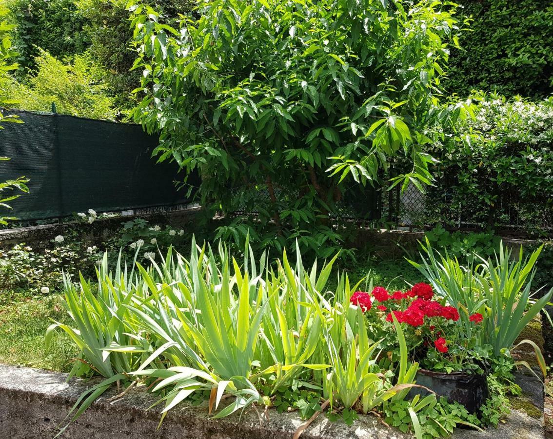 Appartamenti Casa Irina Riva del Garda Luaran gambar