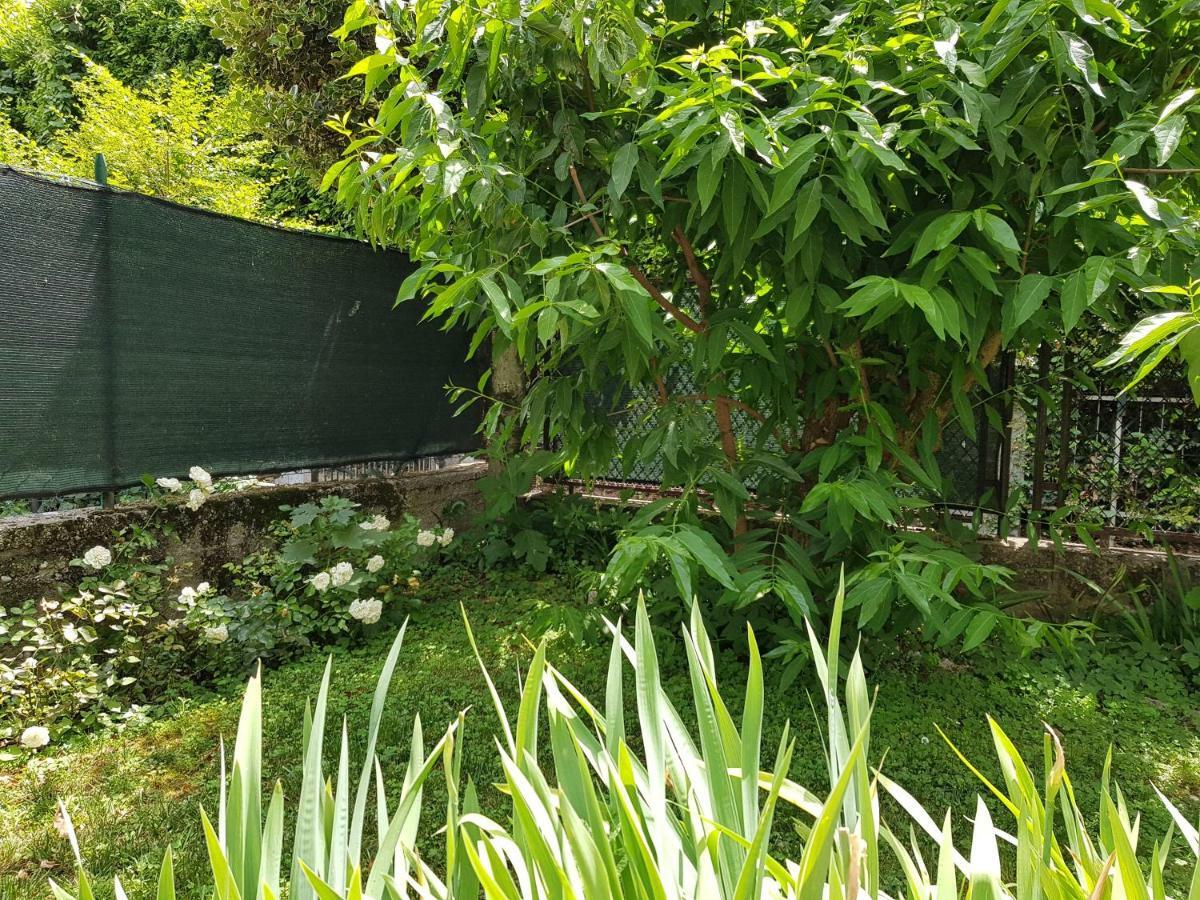 Appartamenti Casa Irina Riva del Garda Luaran gambar